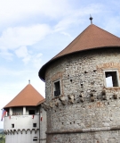 Gasilska veselica 2014 (59)